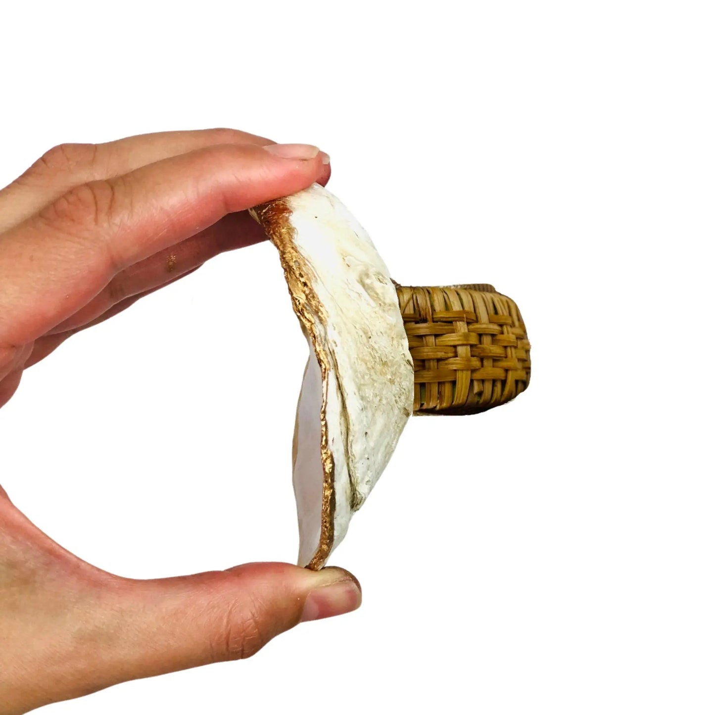 Easter Bunny Harvest Oyster Shell Rattan Napkin Ring Willett + Co