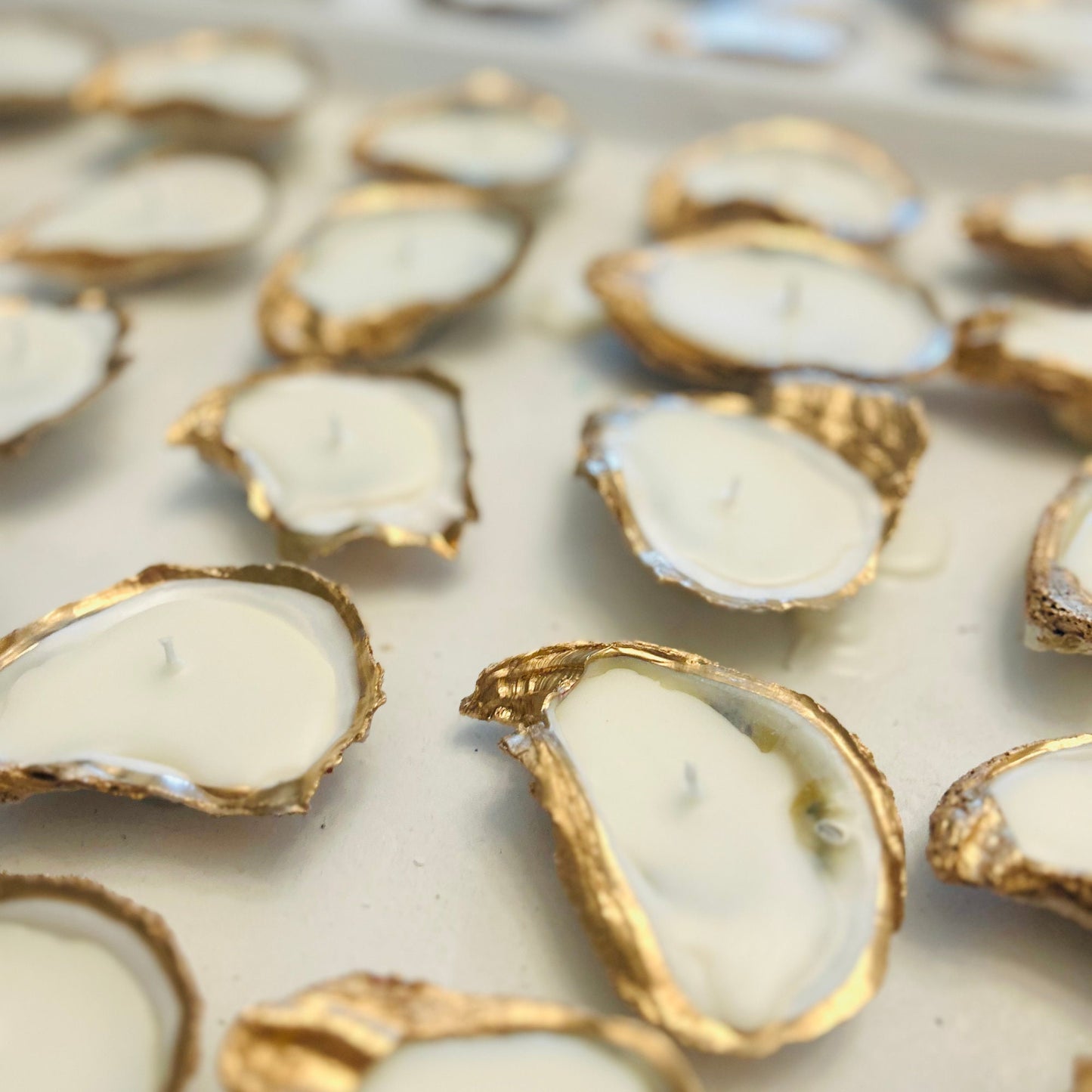 Gold Edged Oyster Shell Candles