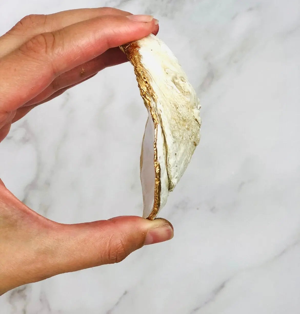 Lavender Oyster Shell Rattan Napkin Ring Willett + Co