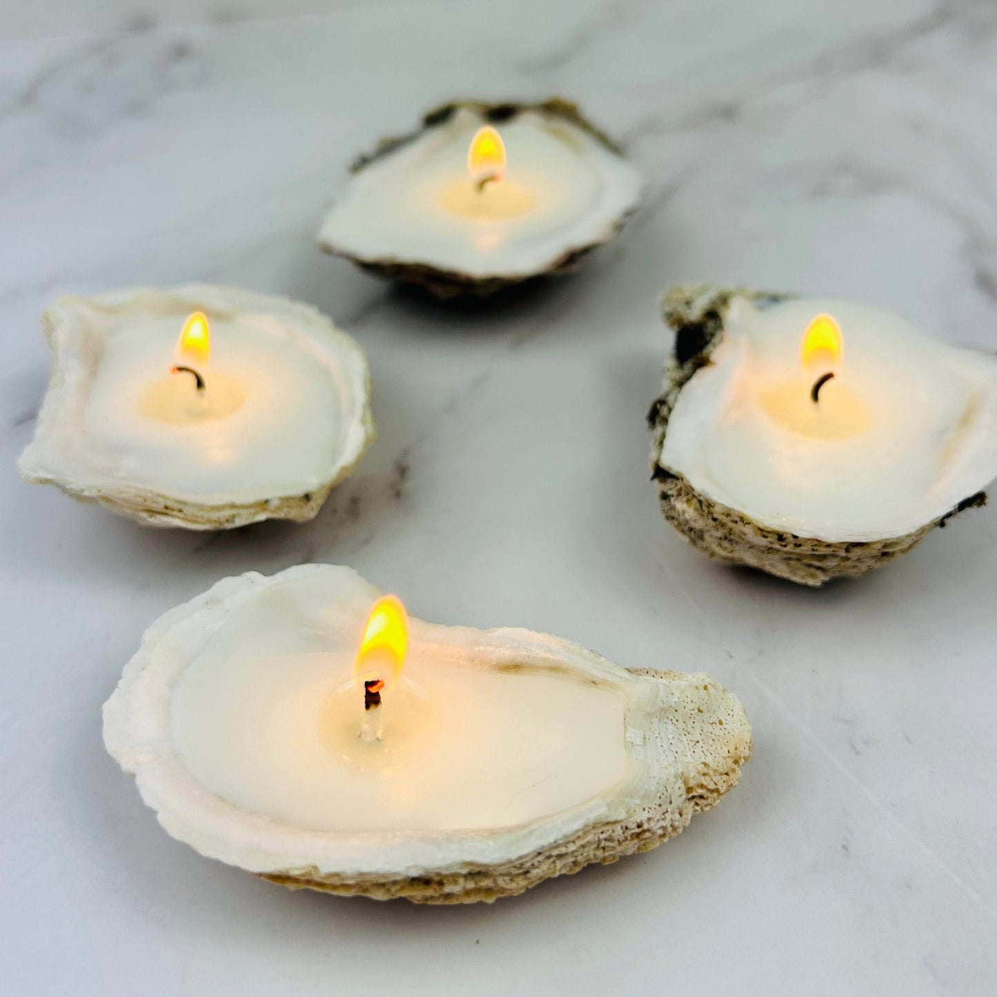 Set of 5 Natural Oyster Shell Candles