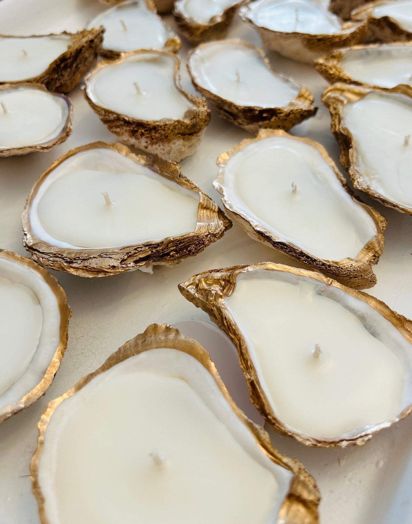 Gold Edged Oyster Shell Candles