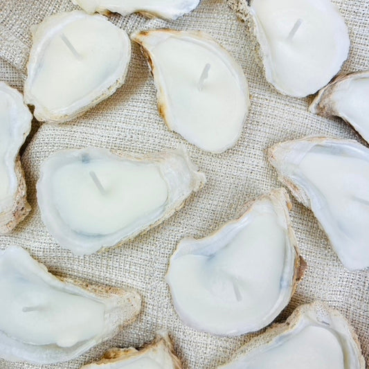 Set of 10 Natural Oyster Shell Candles