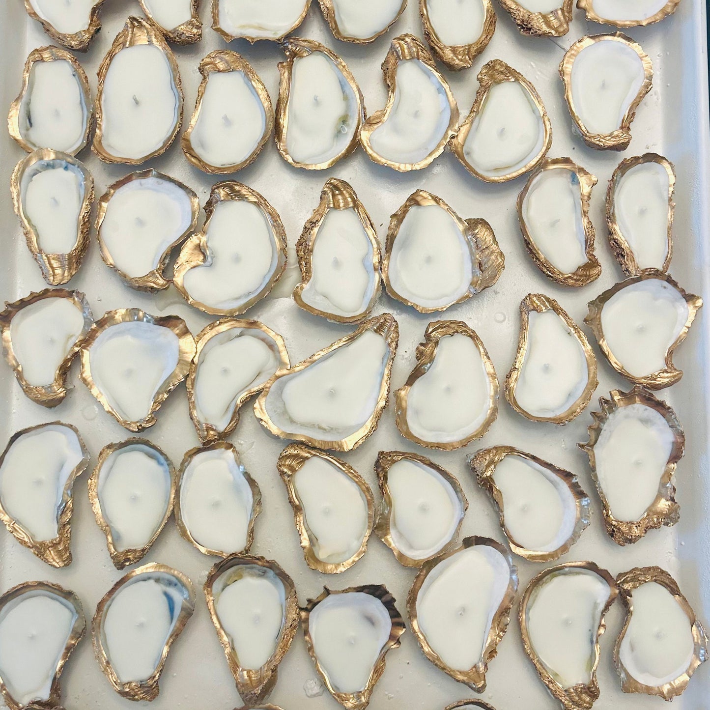Gold Edged Oyster Shell Candles