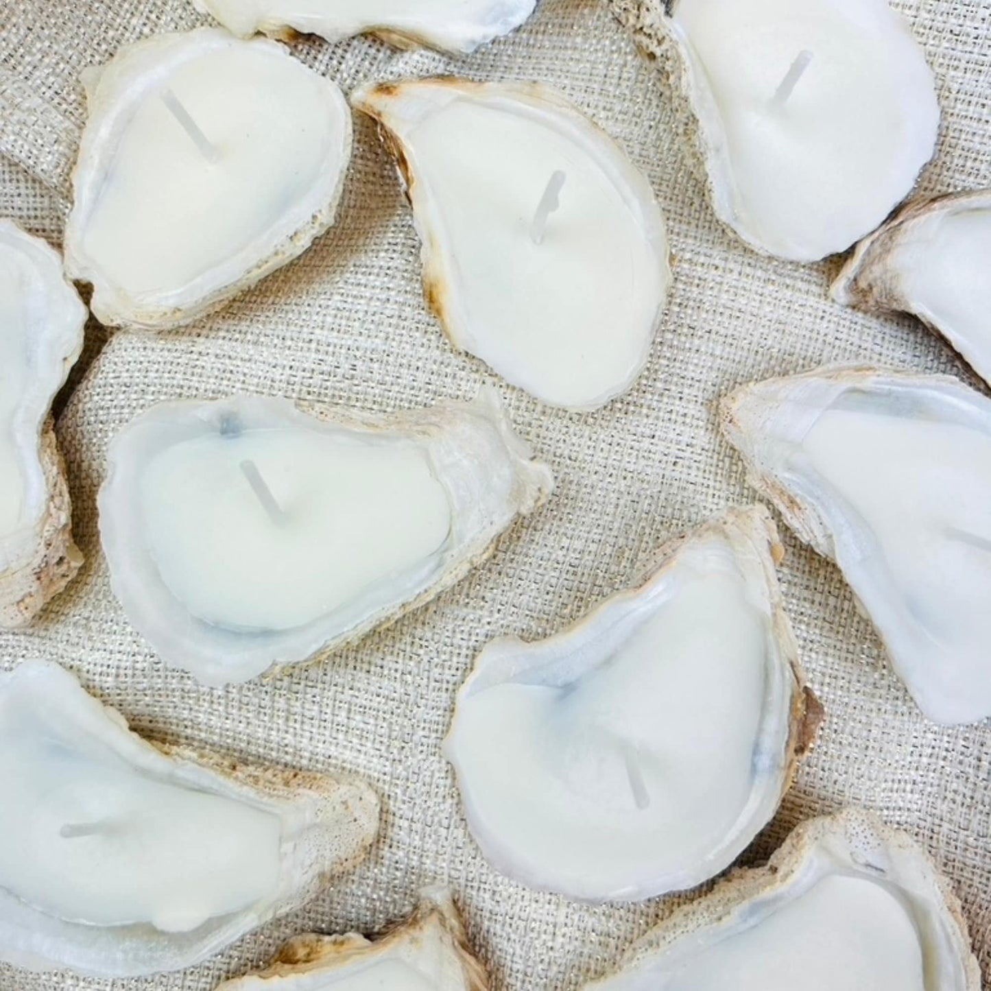 Set of 5 Natural Oyster Shell Candles
