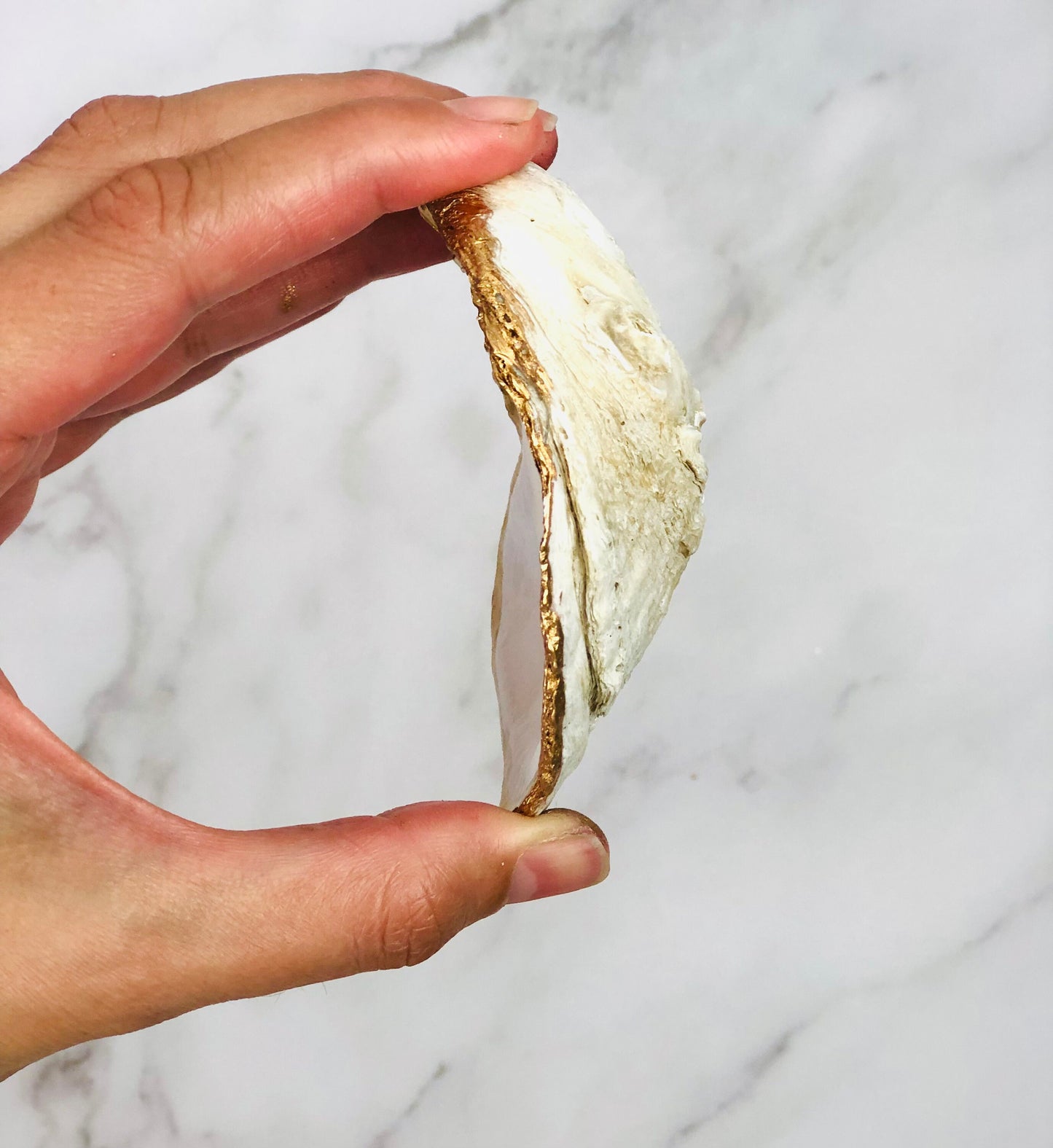 Oyster Shell Ring Dish with Pearl Background