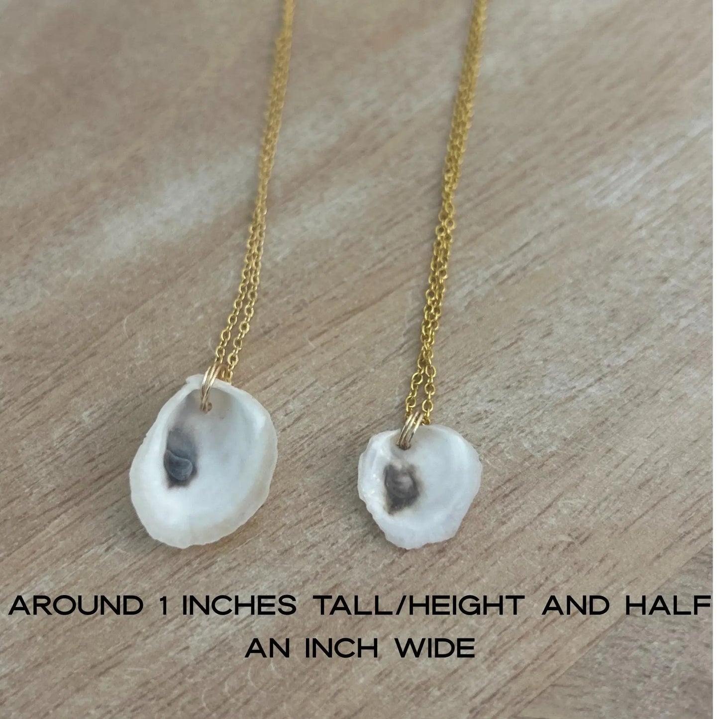 16K Gold Oyster Shell Necklace Willett + Co